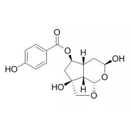 Catalpin