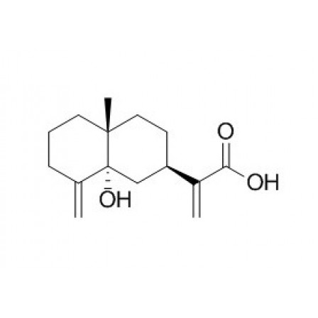 5alpha-Hydroxycostic Acid