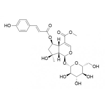 6-O-trans-p-Coumaroylshanzhiside Methyl Ester