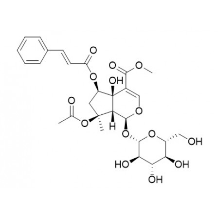 6-O-trans-Cinnamoylphlorigidoside B