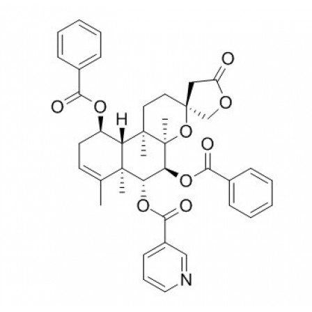Scutebata G