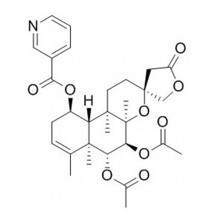 Scutebata F