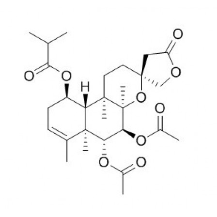 Scutebata E