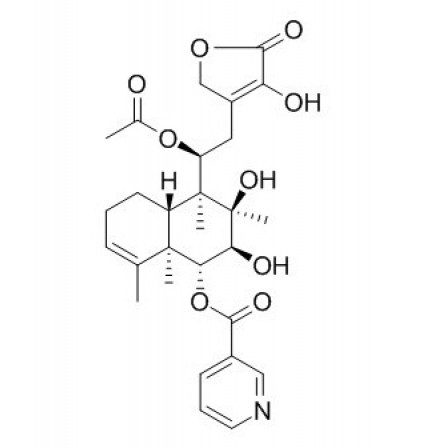 Scutebata C