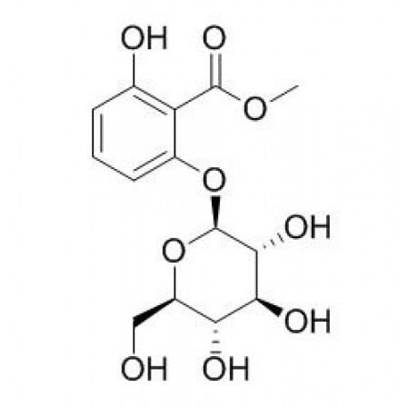6-(beta-D-glucopyranosyloxy)-Salicylic Acid Methyl Ester 6-(beta-D-glucopyranosyloxy)-Salicylic Acid Methyl Ester