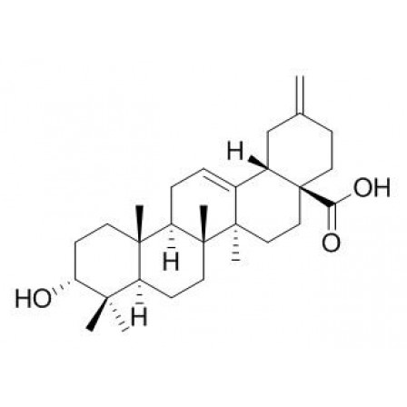 3alpha-Akebonoic Acid