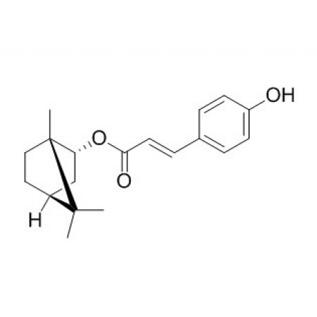 Biondinin C
