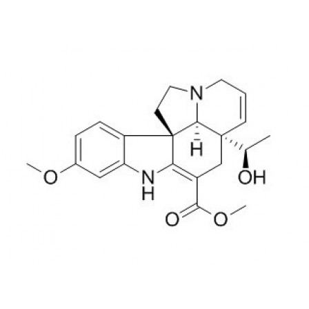 Vandrikidine