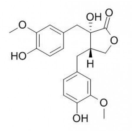 Nortrachelogenin