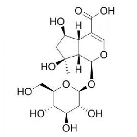 Shanzhiside
