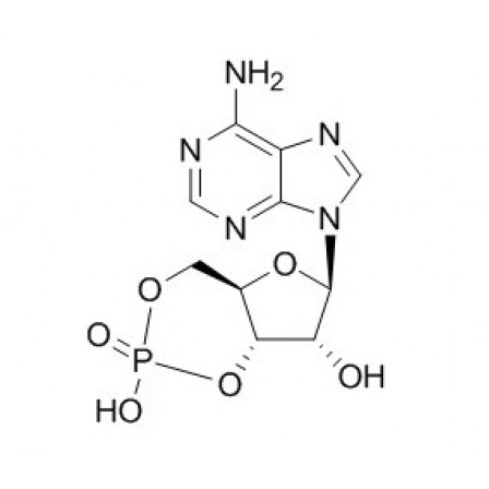 Adenosine Cyclophosphate