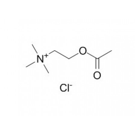 Acetylcholine Chloride