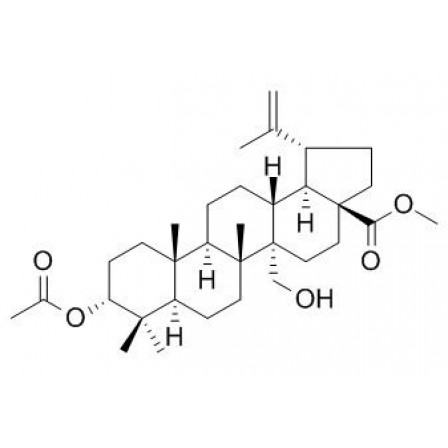 3-Acetoxy-27-hydroxy-20(29)-lupen-28-oic Acid Methyl Ester 3-Acetoxy-27-hydroxy-20(29)-lupen-28-oic Acid Methyl Ester