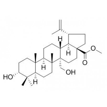 3,27-Dihydroxy-20(29)-lupen-28-oic Acid Methyl Ester