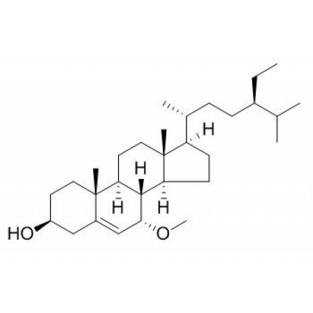 Schleicheol 2