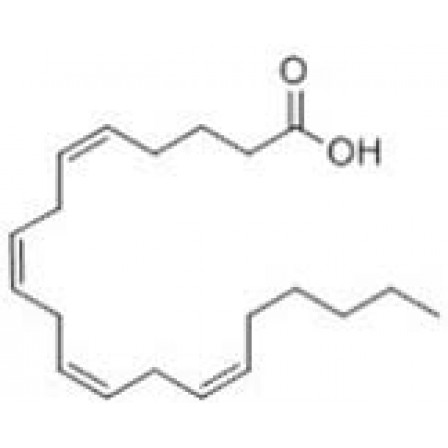 Arachidonic Acid