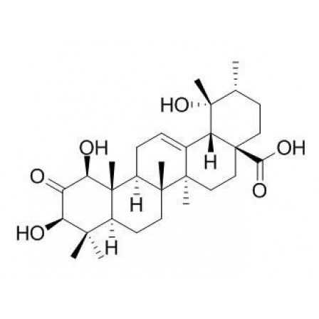 1-Hydroxy-2-oxopomolic Acid