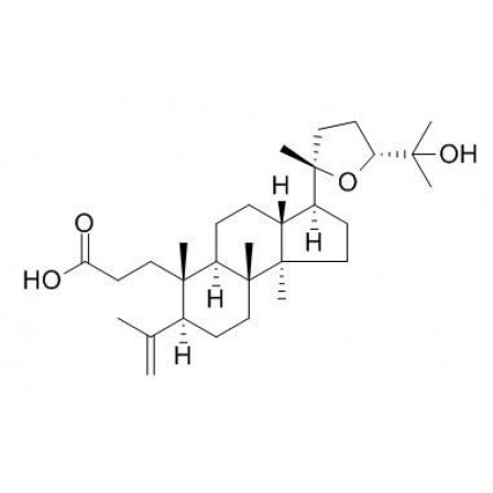 Shoreic Acid
