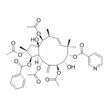 Jatrophane 5
