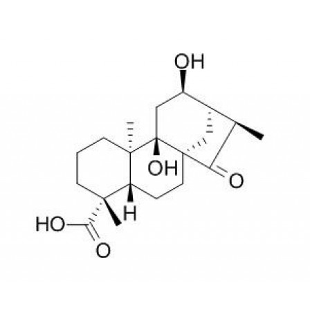 Pterisolic Acid E
