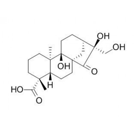 Pterisolic Acid F