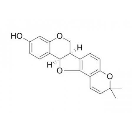 Phaseollin