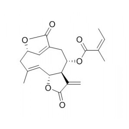 Scabertopin