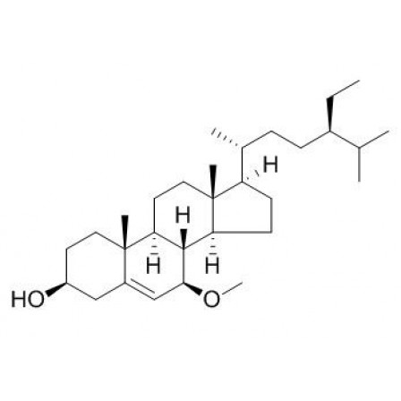Schleicheol 1