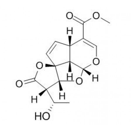 Allamandicin