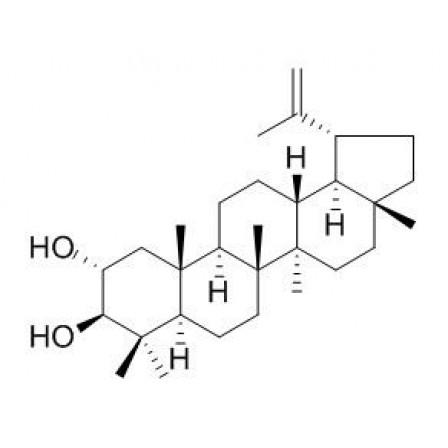 Lup-20(29)-ene-2alpha,3beta-diol