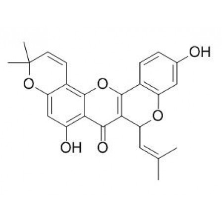 Cyclomorusin