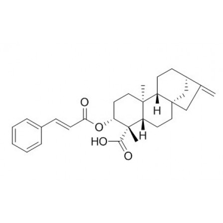 Ent-3beta-Cinnamoyloxykaur-16-en-19-oic Acid Ent-3beta-Cinnamoyloxykaur-16-en-19-oic Acid