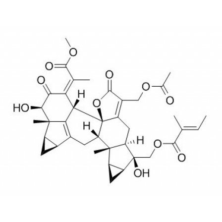 Chlorahololide D