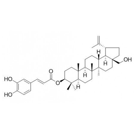 Betulin Caffeate