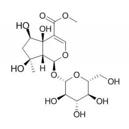 6beta-Hydroxyipolamiide