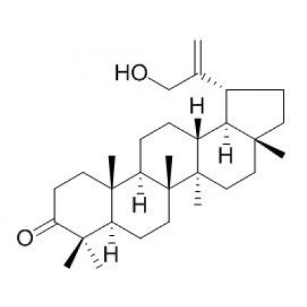 30-Hydroxylup-20(29)-en-3-one
