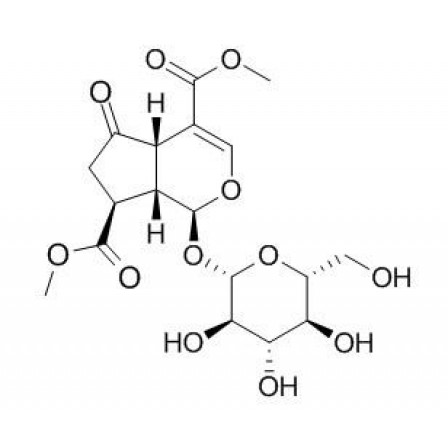 Griselinoside