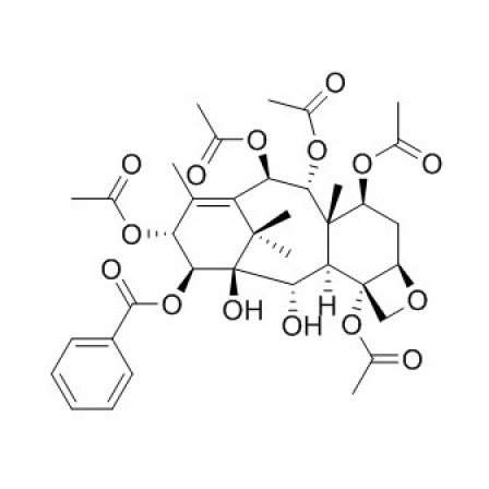 14beta-Benzoyloxy-2-deacetylbaccatin VI
