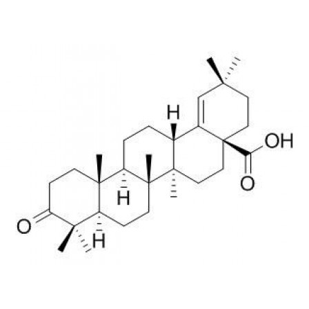 Moronic Acid