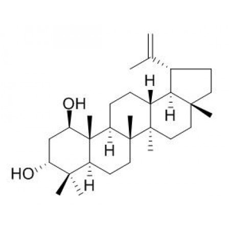 Glochidiol