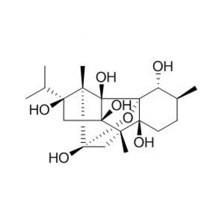 Cinnzeylanol