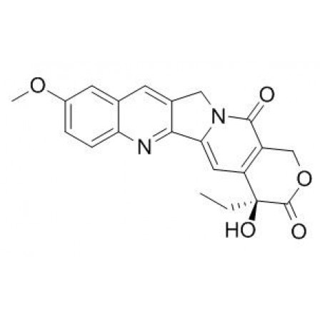10-Methoxycamptothecin