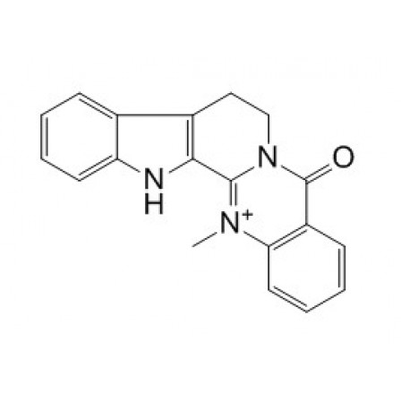 Dehydroevodiamine Hydrochloride