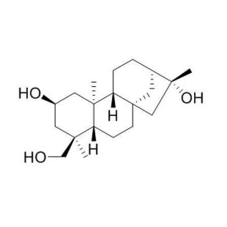 Pterokaurane R