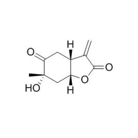 Paeonilactone B