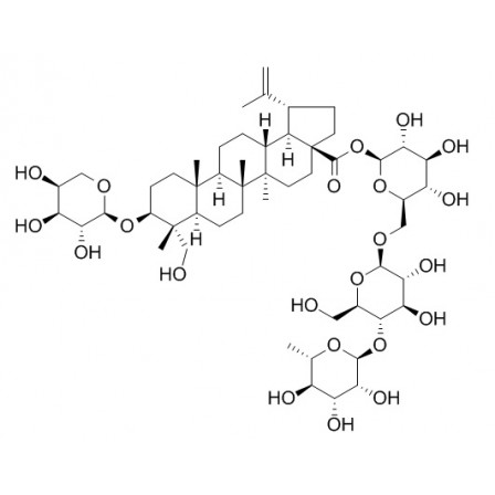 Pulchinenoside B