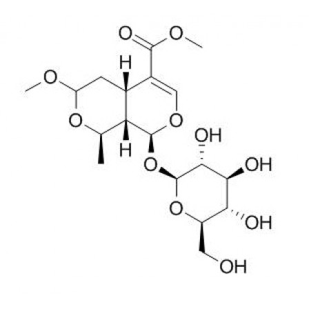 7-O-Methyl Morroniside