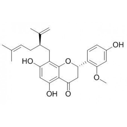 Leachianone A