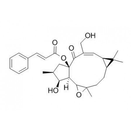 Jolkinol A