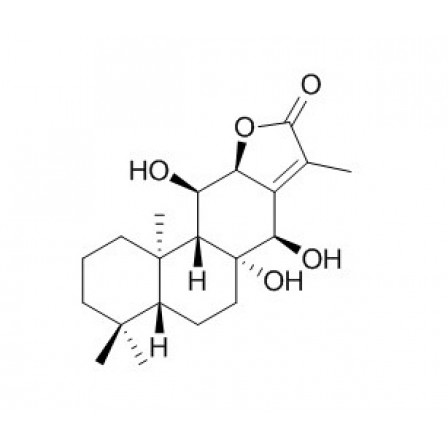 Yuexiandajisu E